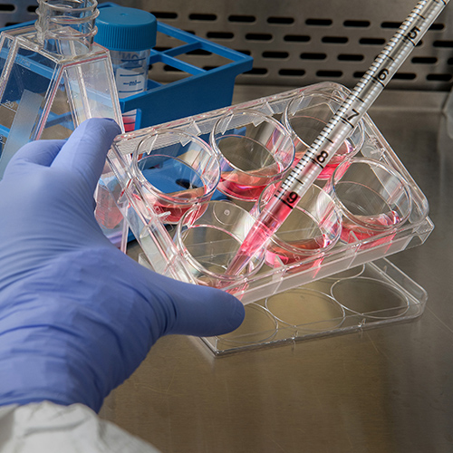 Testing Kits